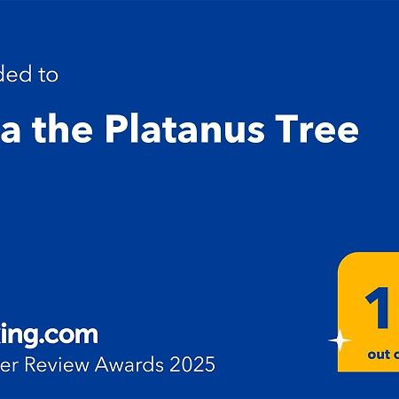 Villa The Platanus Tree Kato Vasiliki Zewnętrze zdjęcie