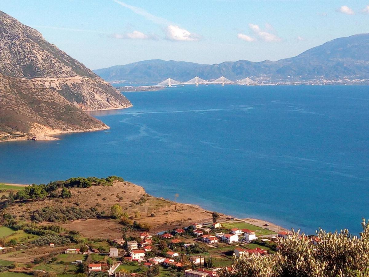 Villa The Platanus Tree Kato Vasiliki Zewnętrze zdjęcie