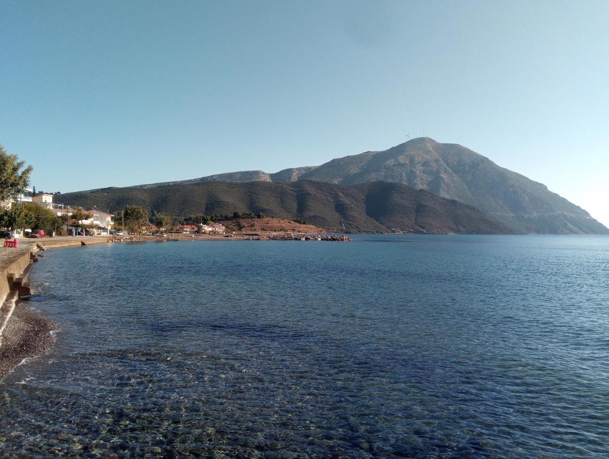 Villa The Platanus Tree Kato Vasiliki Zewnętrze zdjęcie