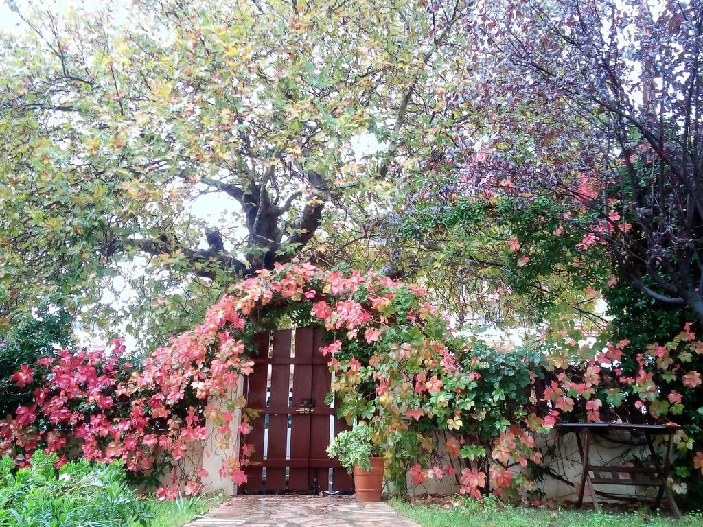 Villa The Platanus Tree Kato Vasiliki Zewnętrze zdjęcie