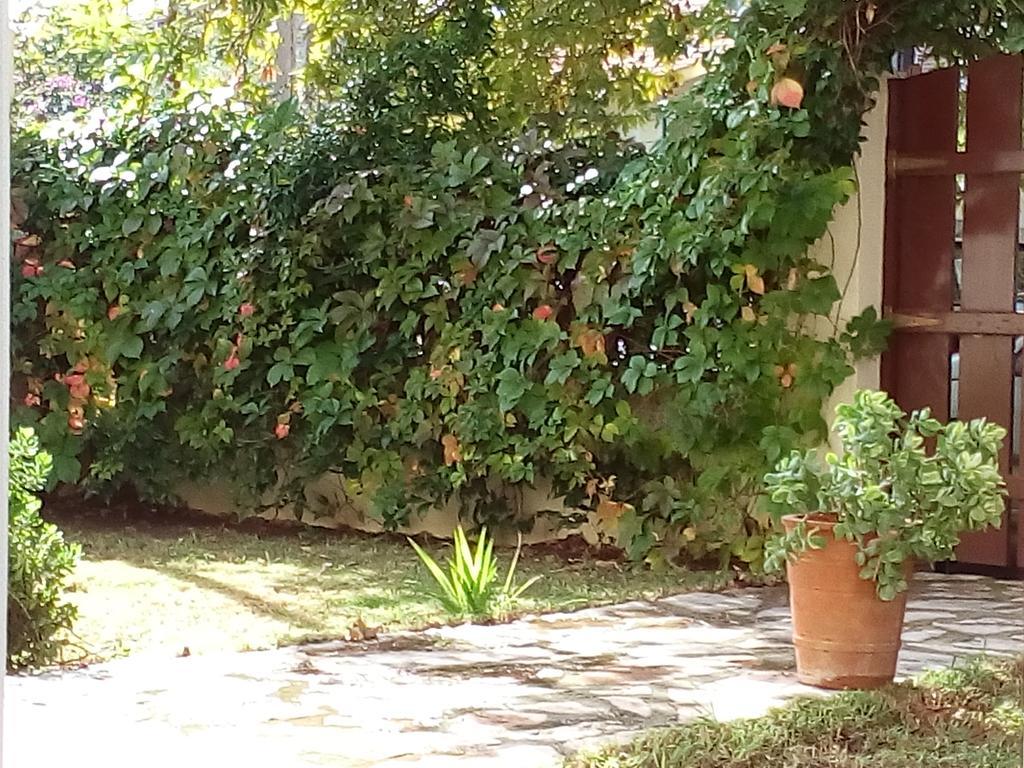 Villa The Platanus Tree Kato Vasiliki Zewnętrze zdjęcie