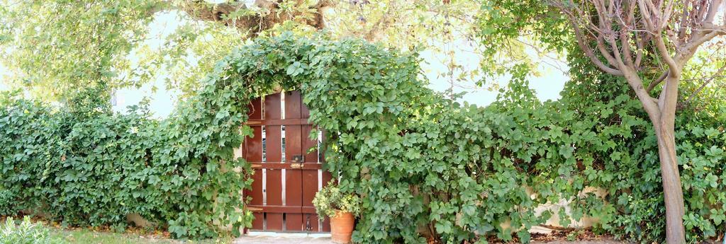 Villa The Platanus Tree Kato Vasiliki Zewnętrze zdjęcie
