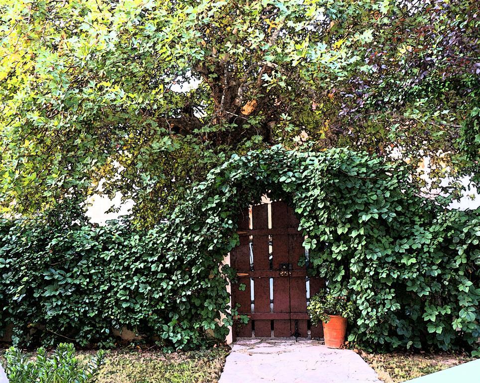 Villa The Platanus Tree Kato Vasiliki Zewnętrze zdjęcie