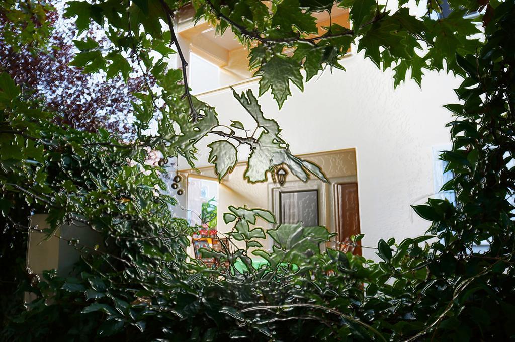 Villa The Platanus Tree Kato Vasiliki Zewnętrze zdjęcie