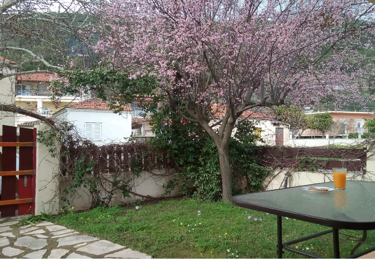 Villa The Platanus Tree Kato Vasiliki Zewnętrze zdjęcie